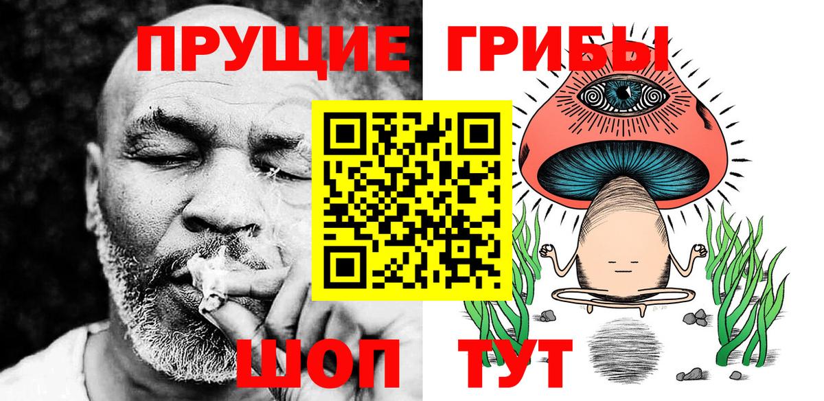 Псилоцибиновые грибы Psilocybine cubensis Александров