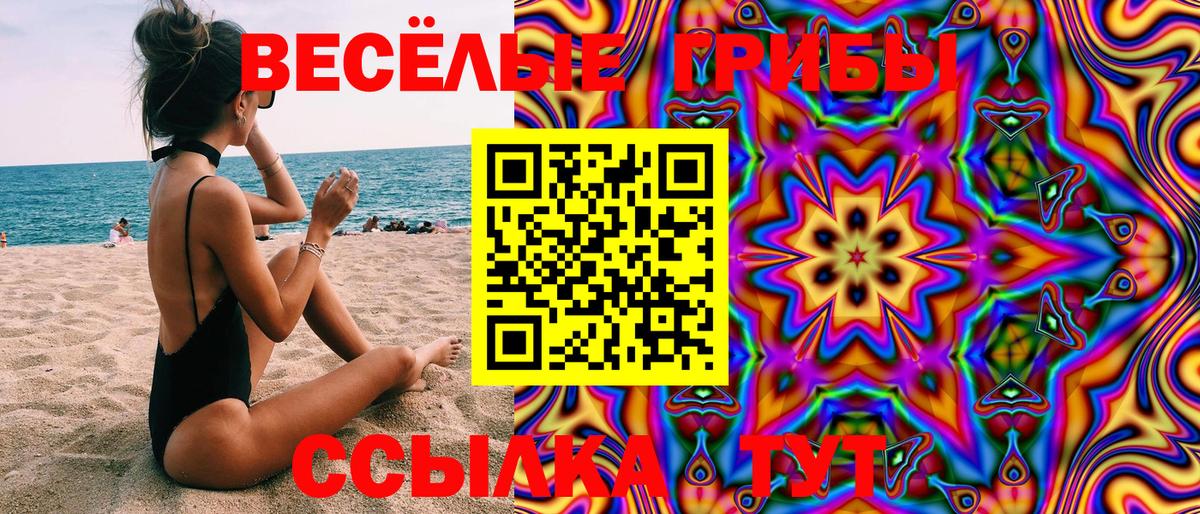 Александров  Галлюциногенные грибы мицелий  Вход с VPN 